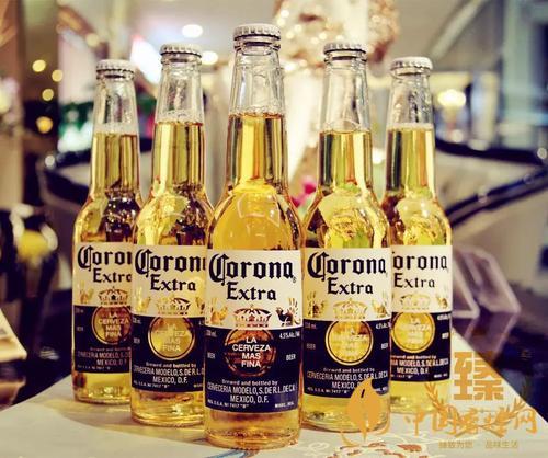 科羅娜啤酒多少錢一瓶 2020科羅娜啤酒批發價格
