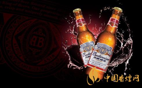 百威啤酒度數是多少 百威啤酒是怎樣生產的