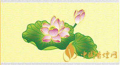 鉆石荷花中支如何辨別真偽 辨別真假荷花中支的方法介紹