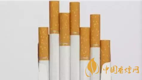 香煙和雪茄哪個好抽?香煙和雪茄八大區別介紹2020