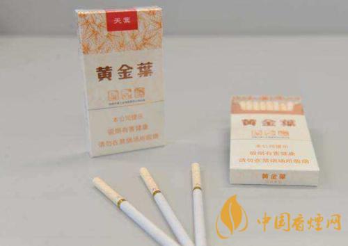 黃金葉天葉與小天葉的區別是什么