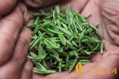 秦巴霧毫的產地在哪 秦巴霧毫多少錢一斤