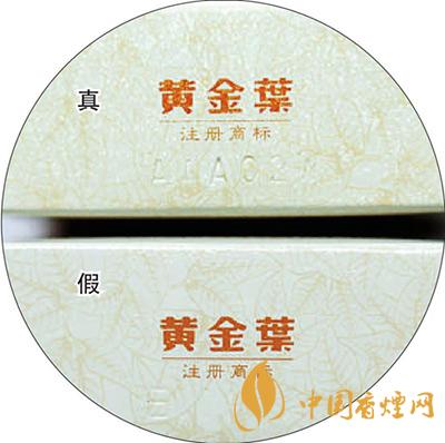 黃金葉天葉怎么區分  黃金葉天葉最新區分方法