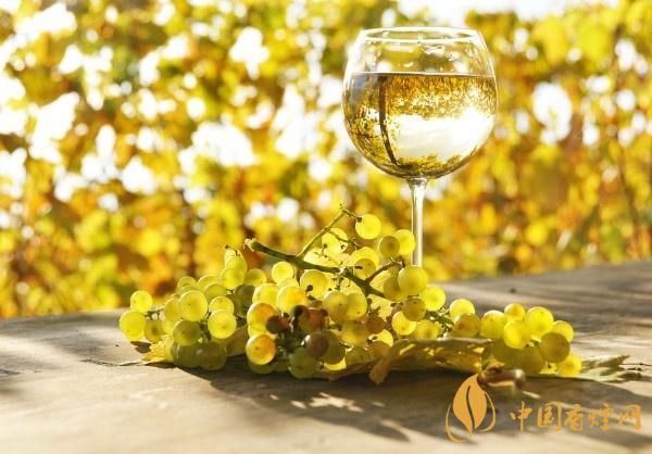 紅葡萄酒和白葡萄酒的區別在哪 紅葡萄酒和白葡萄酒的區別分析