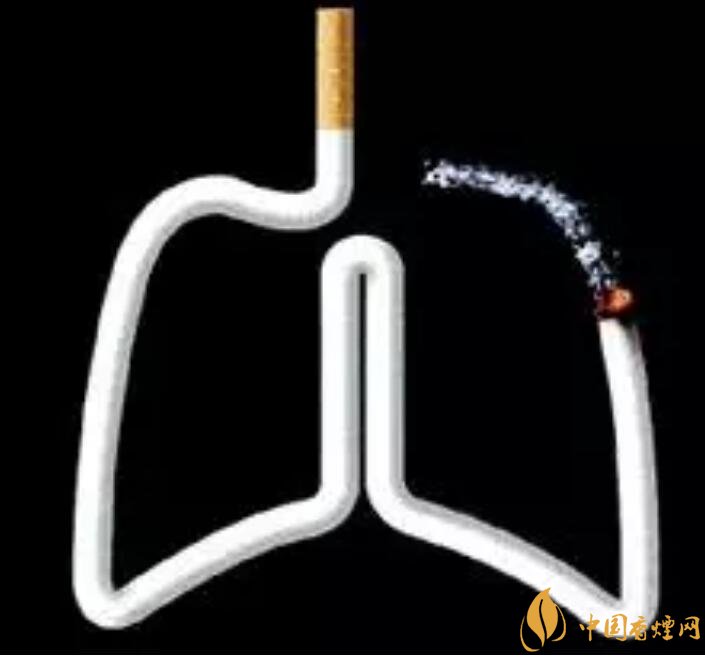 一天抽幾根煙合適,一天一包煙患癌幾率大