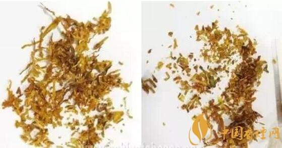 冬蟲夏草（和潤）真假鑒別，春節防止被騙