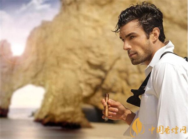 大衛杜夫雪茄怎么樣 大衛杜夫尼加拉瓜羅伯斯特托保斯雪茄好抽嗎