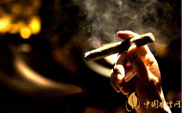 大衛杜夫雪茄怎么樣 大衛杜夫溫斯頓丘吉爾指揮官好抽嗎