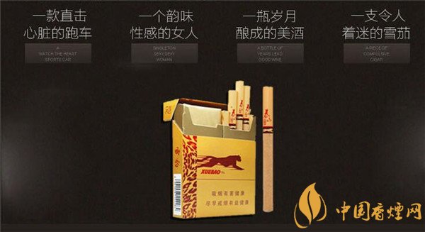 國產雪茄煙(泰山雪豹雙十支)好抽嗎 泰山雪豹雙十支圖片