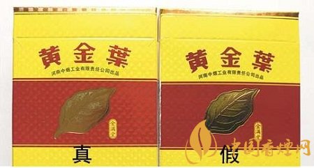黃金葉金滿堂香煙真假辨別圖鑒 一看便知真假！