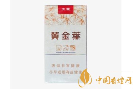 黃金葉天葉如何辨別真偽 黃金葉天葉價格介紹